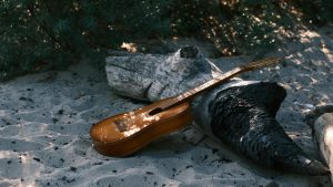 The Role of the Producer in Shaping an Artist’s Sound