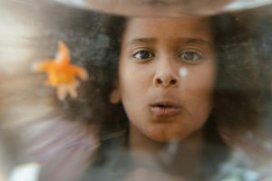 The Power of Play: Learning Through Exploration and Discovery