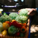 The Future of Food: Sustainable Sourcing and Lab-Grown Meats